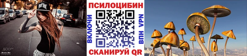 купить закладку  Чудово  Галлюциногенные грибы Psilocybine cubensis 