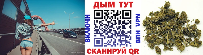 Каннабис семена  купить наркоту  Чудово 
